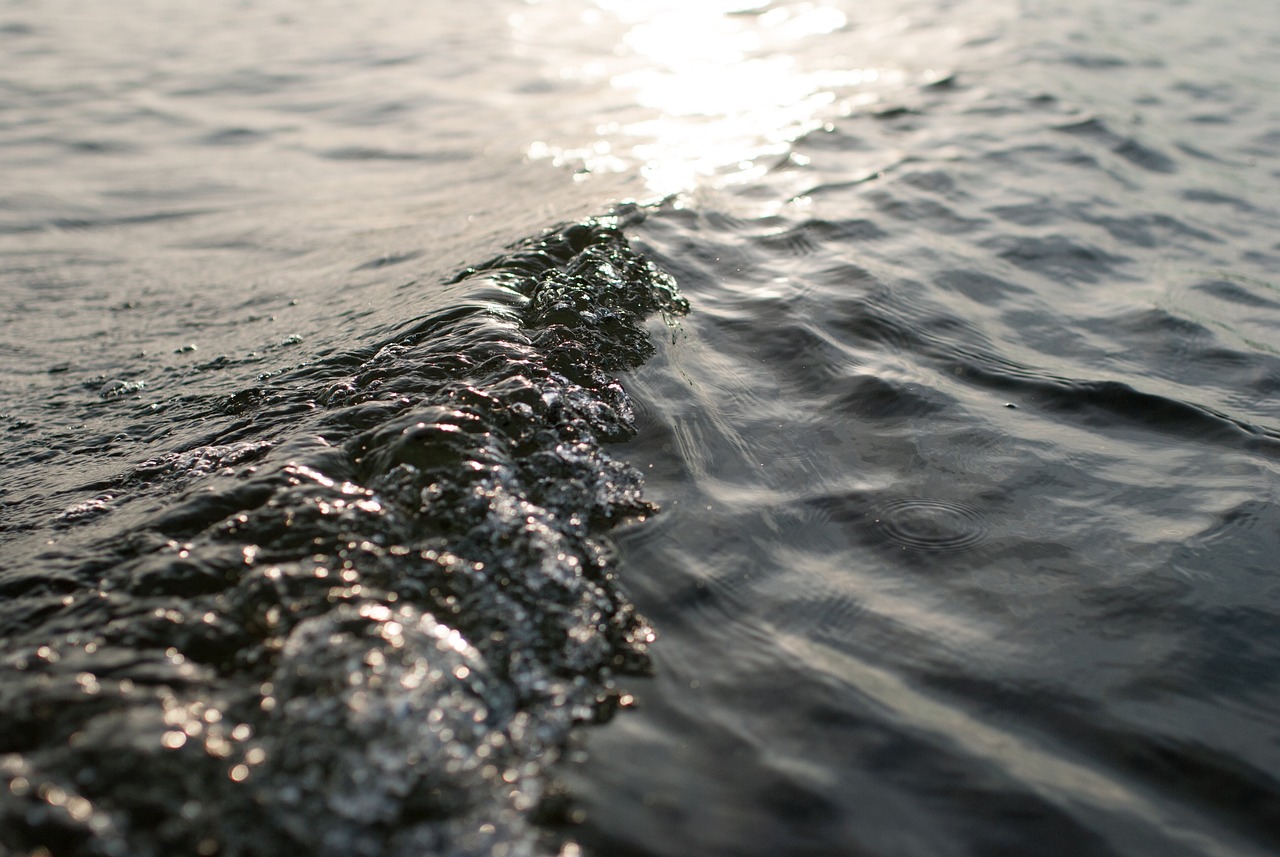 A Field Guide to Listening to the Sea