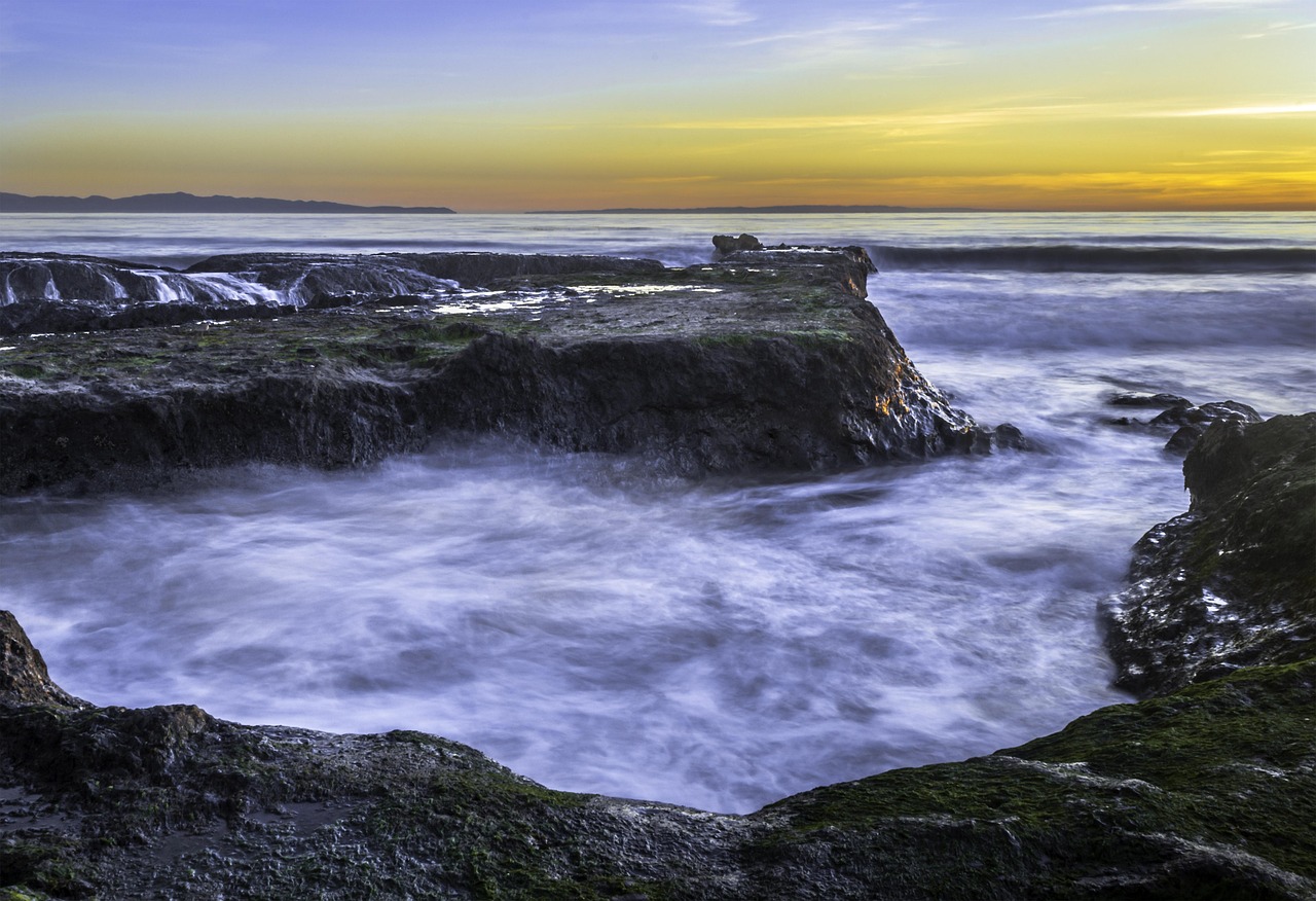 Tide Pools and the Discipline of Looking Closely